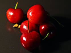 Dwarf North Star Cherry Tree