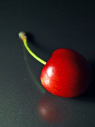 Dwarf North Star Cherry Tree