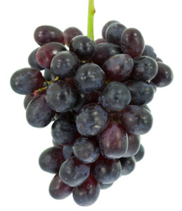 Summer Royal Bunch Grape Vine