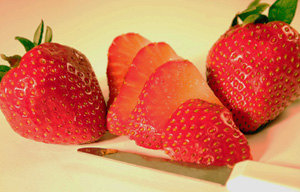 Seascape Strawberry Plant