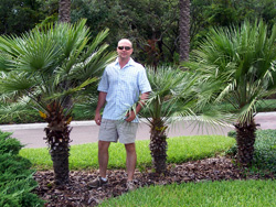 European Fan Palm Tree