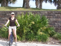 Saw Palmetto Palm Tree