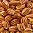 Elliot Pecan Tree