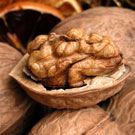 English Walnut Tree English Walnut Tree