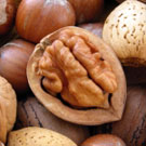 Cook's Giant Sweet Walnut Tree Cook's Giant Sweet Walnut Tree
