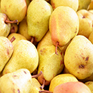 Fan-Stil Pear Tree Fan-Stil Pear Tree