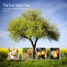 4-in-1 Pear Tree 4-in-1 Pear Tree