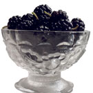 Persian Mulberry Tree Persian Mulberry Tree