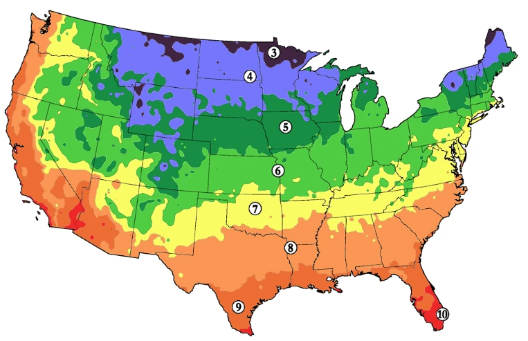 Map of the United States colored by USDA plant hardiness zone, from Zone 3 in the north to Zone 10 in the south.