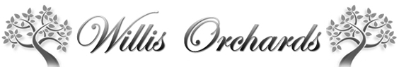 Willis Orchard Company