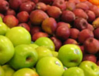 Fruit Trees