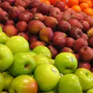 Fruit Trees