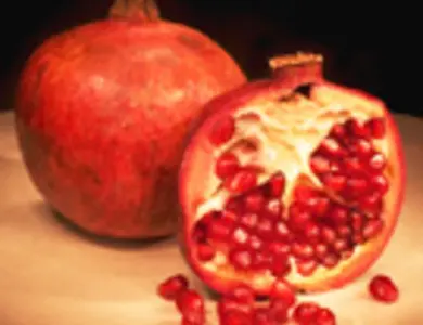 Pomegranate Trees