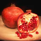 Pomegranate Trees