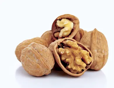 Walnut Trees