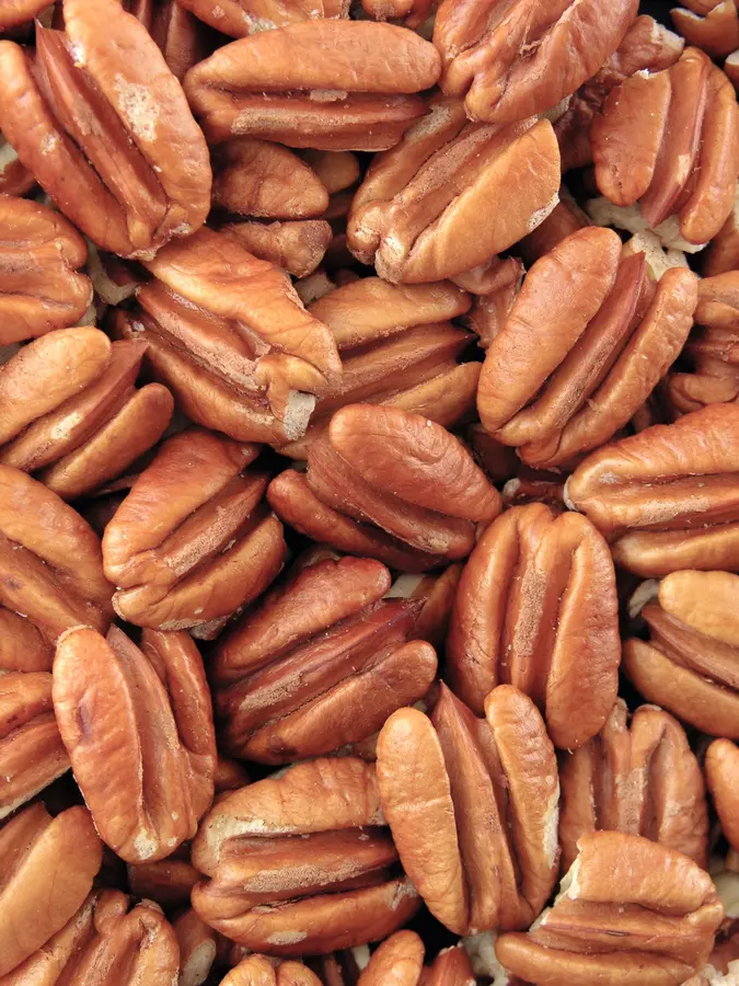 Elliot Pecan Tree Elliot Pecan Tree