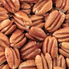 Elliot Pecan Tree