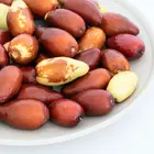 GA 866 Jujube Tree