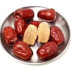 GA 866 Jujube Tree