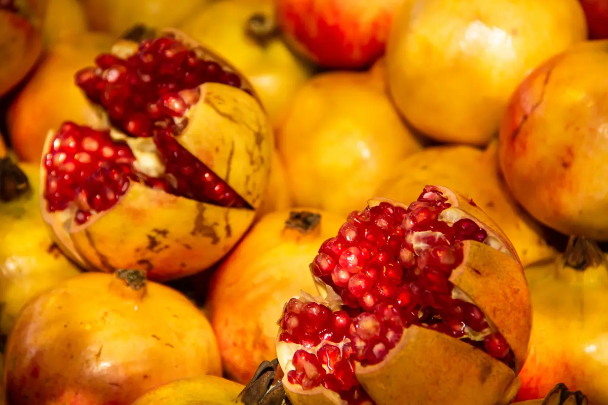 Kazake Pomegranate Tree