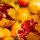 Kazake Pomegranate Tree