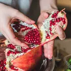 Parfianka Pomegranate Tree