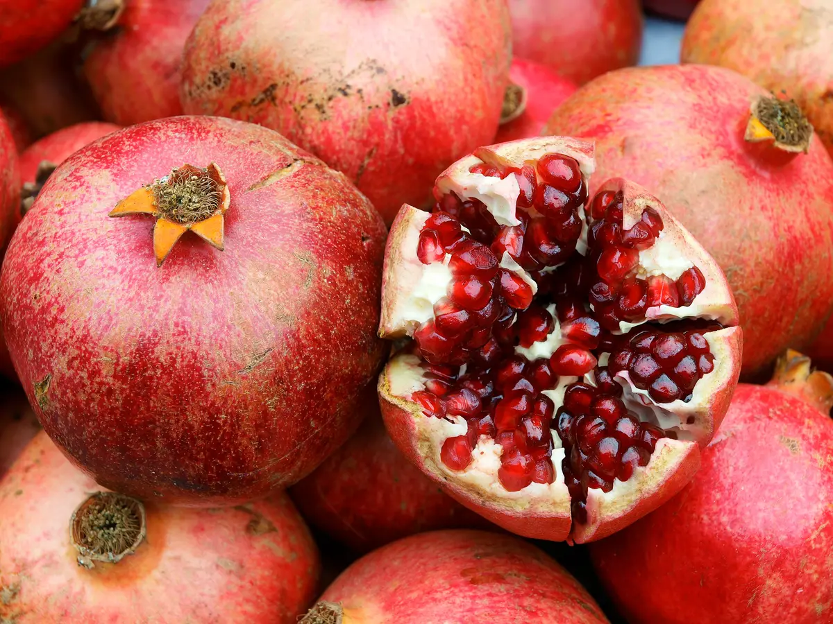 Nikitski Ranni Pomegranate Tree