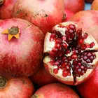 Nikitski Ranni Pomegranate Tree