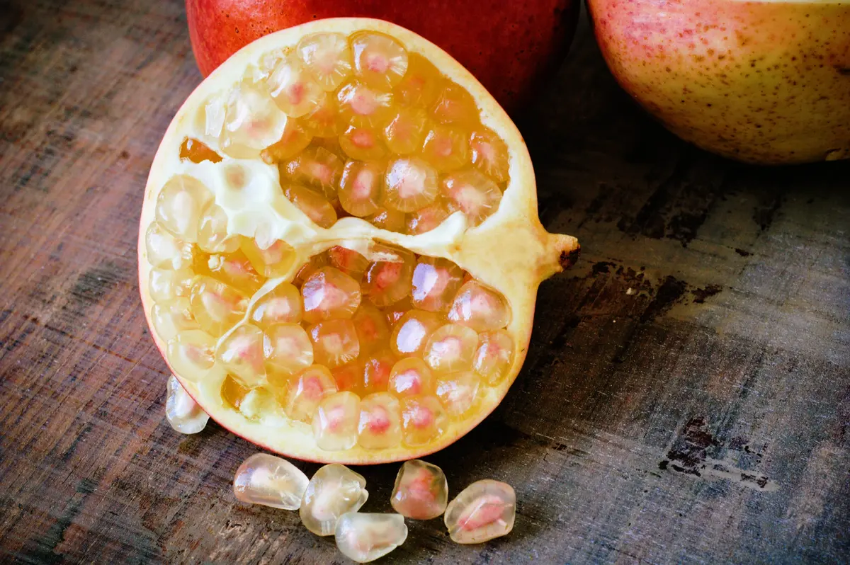 Surh-Anor Pomegranate Tree Surh-Anor Pomegranate Tree