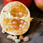 Surh-Anor Pomegranate Tree