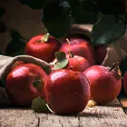 Arkansas Black Apple Tree