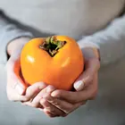 Giant Fuyu Persimmon Tree