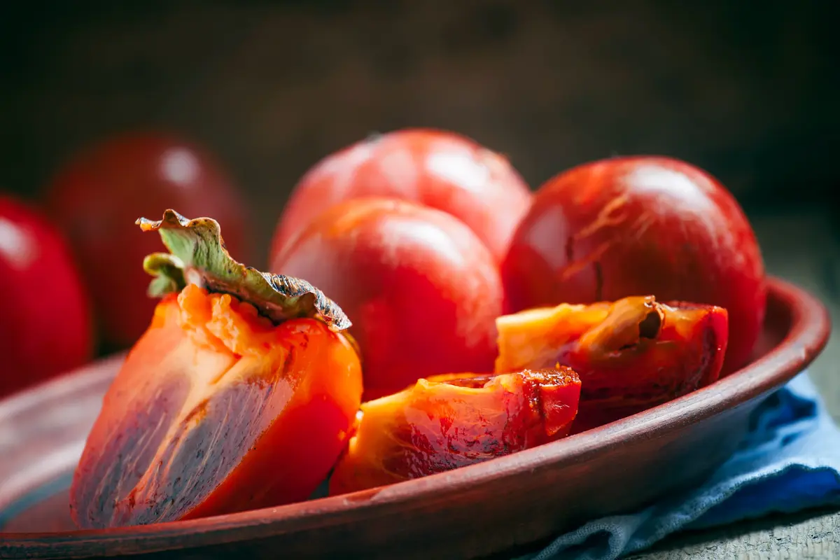 Chocolate Persimmon Tree