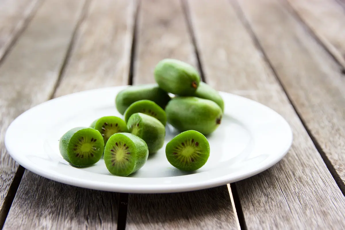 Cordifolia Hardy Kiwi