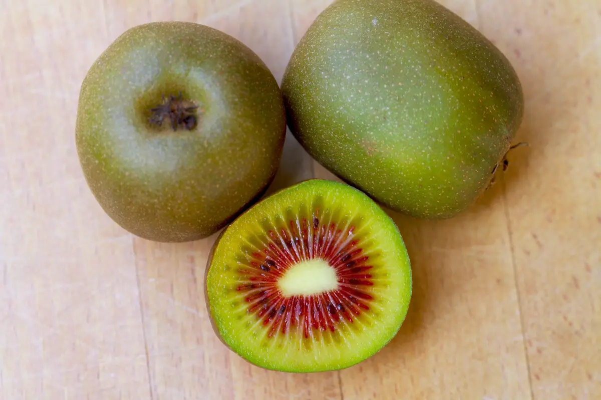 Prolific Kiwi