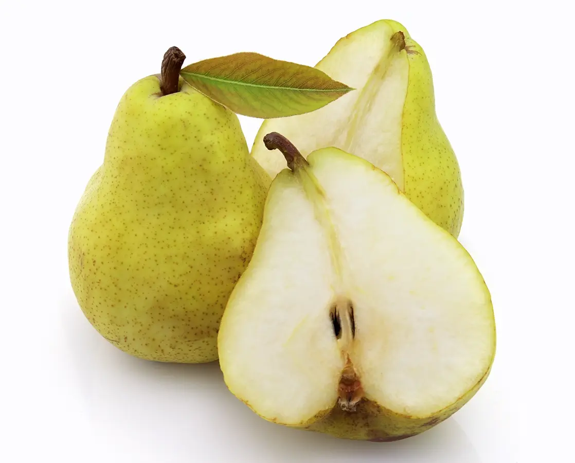 Beurre D'Anjou Pear
