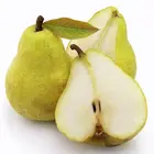 Beurre D'Anjou Pear