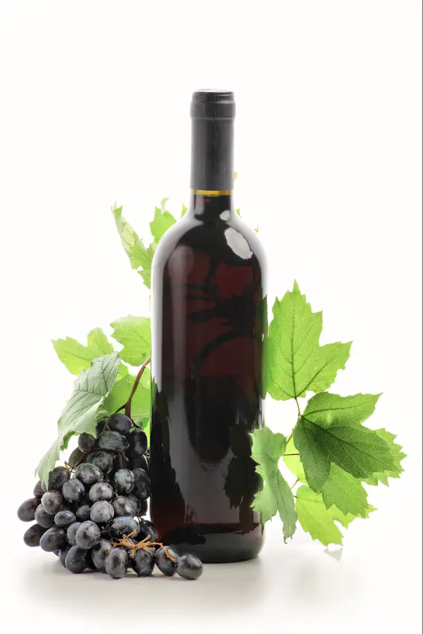 Lomanto Grape Vine