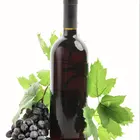 Lomanto Grape Vine