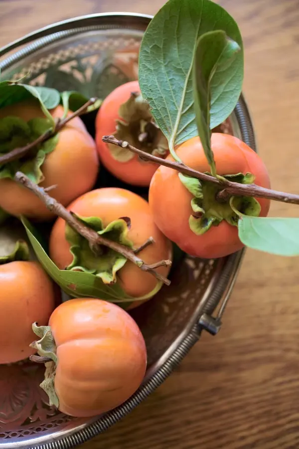 Izu Persimmon Tree