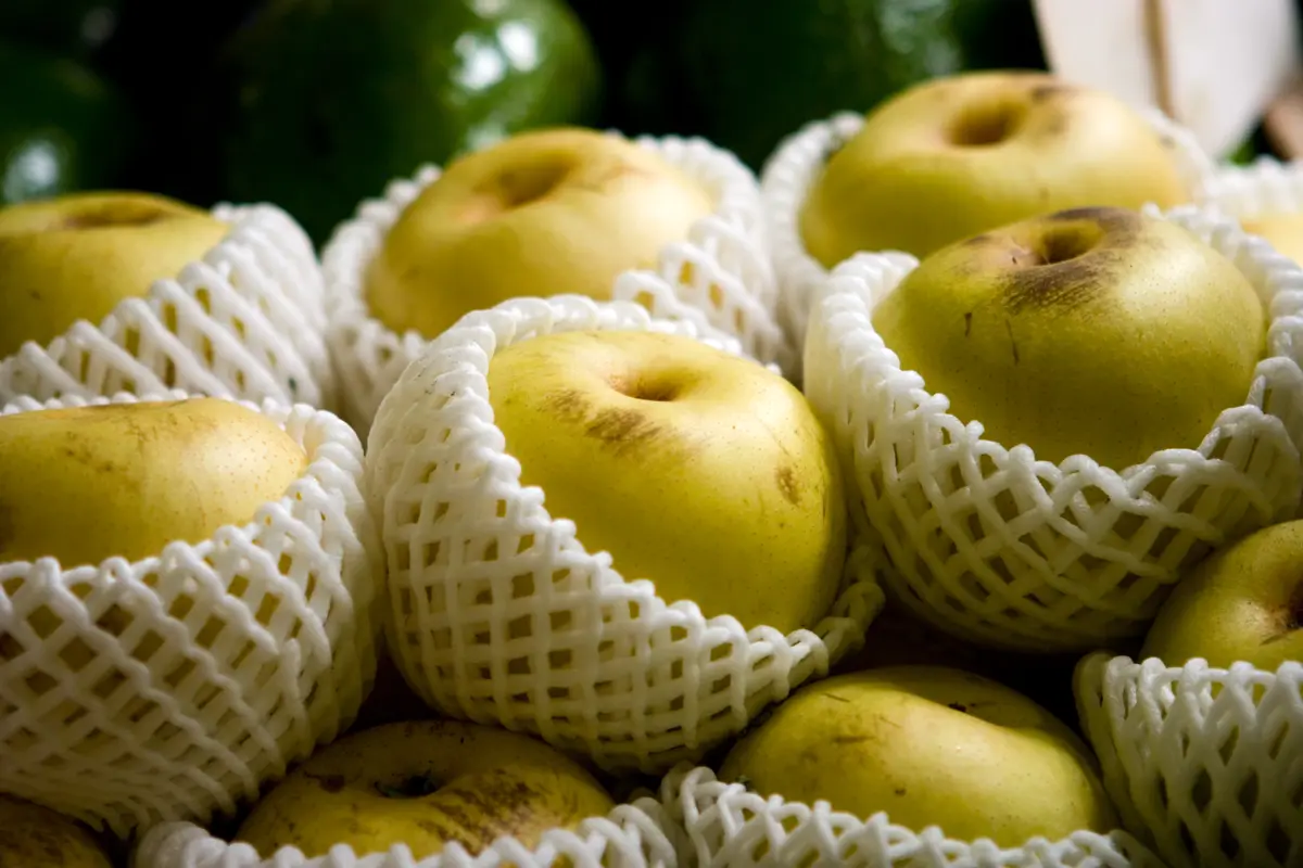 20th Century Asian Pear Tree