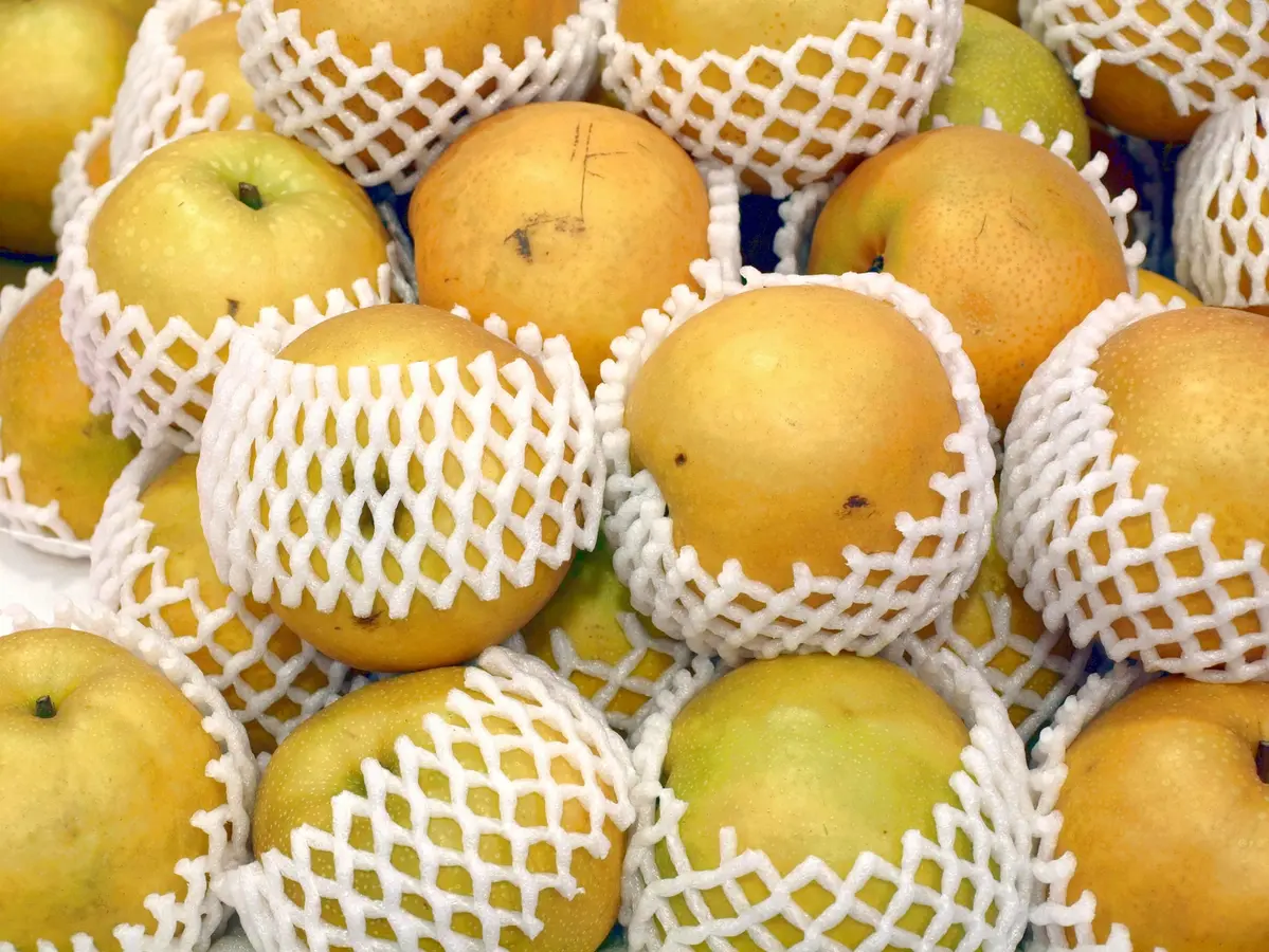 20th Century Asian Pear Tree