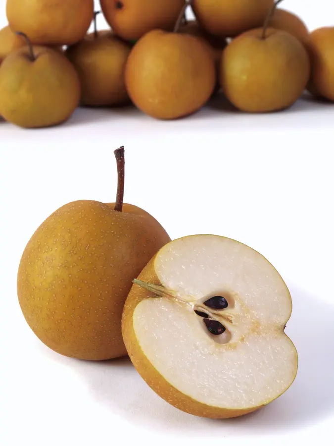 Shinseiki Asian Pear Tree