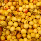 4-in-1 Combo Sweet Cherry Tree