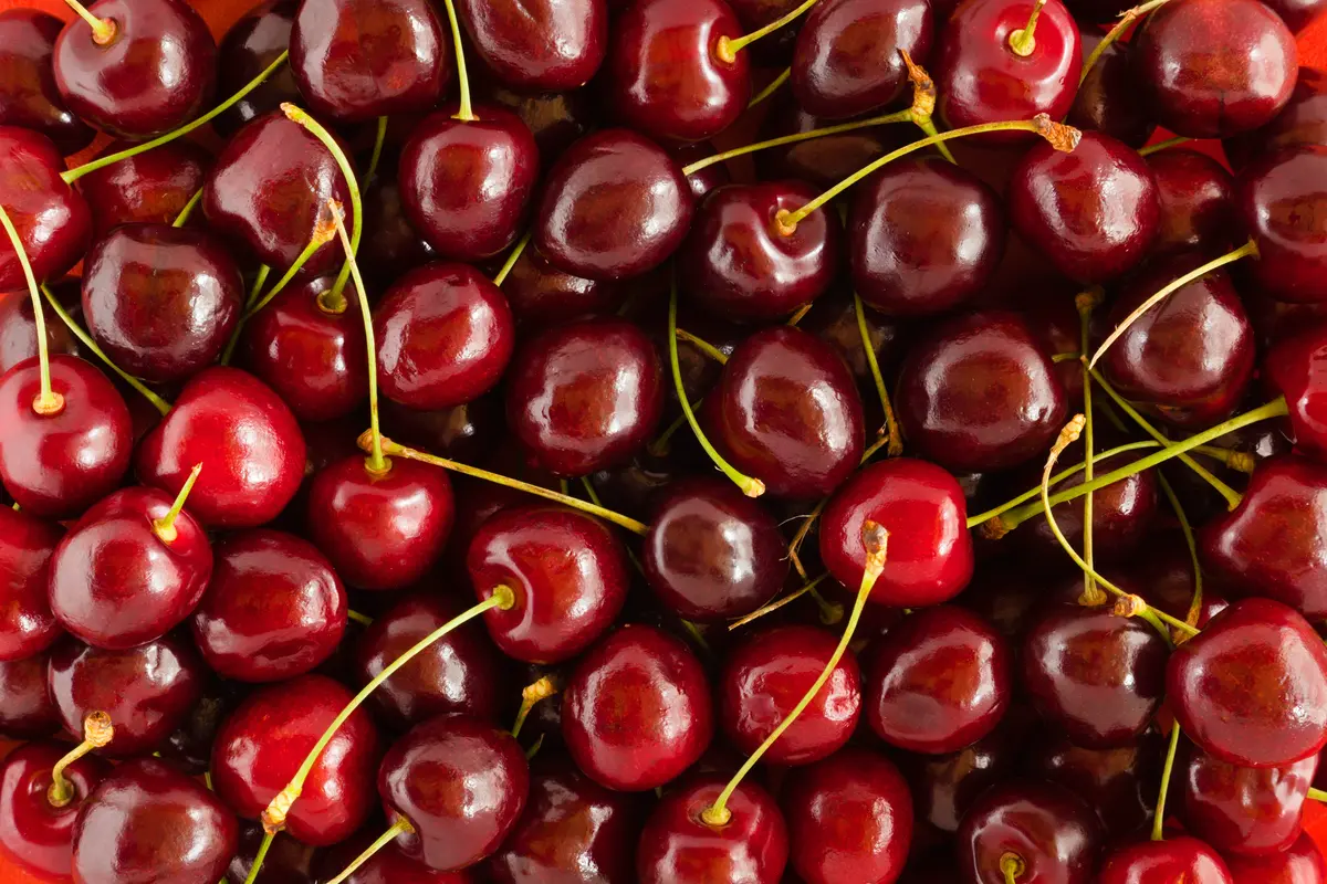 4-in-1 Combo Sweet Cherry Tree