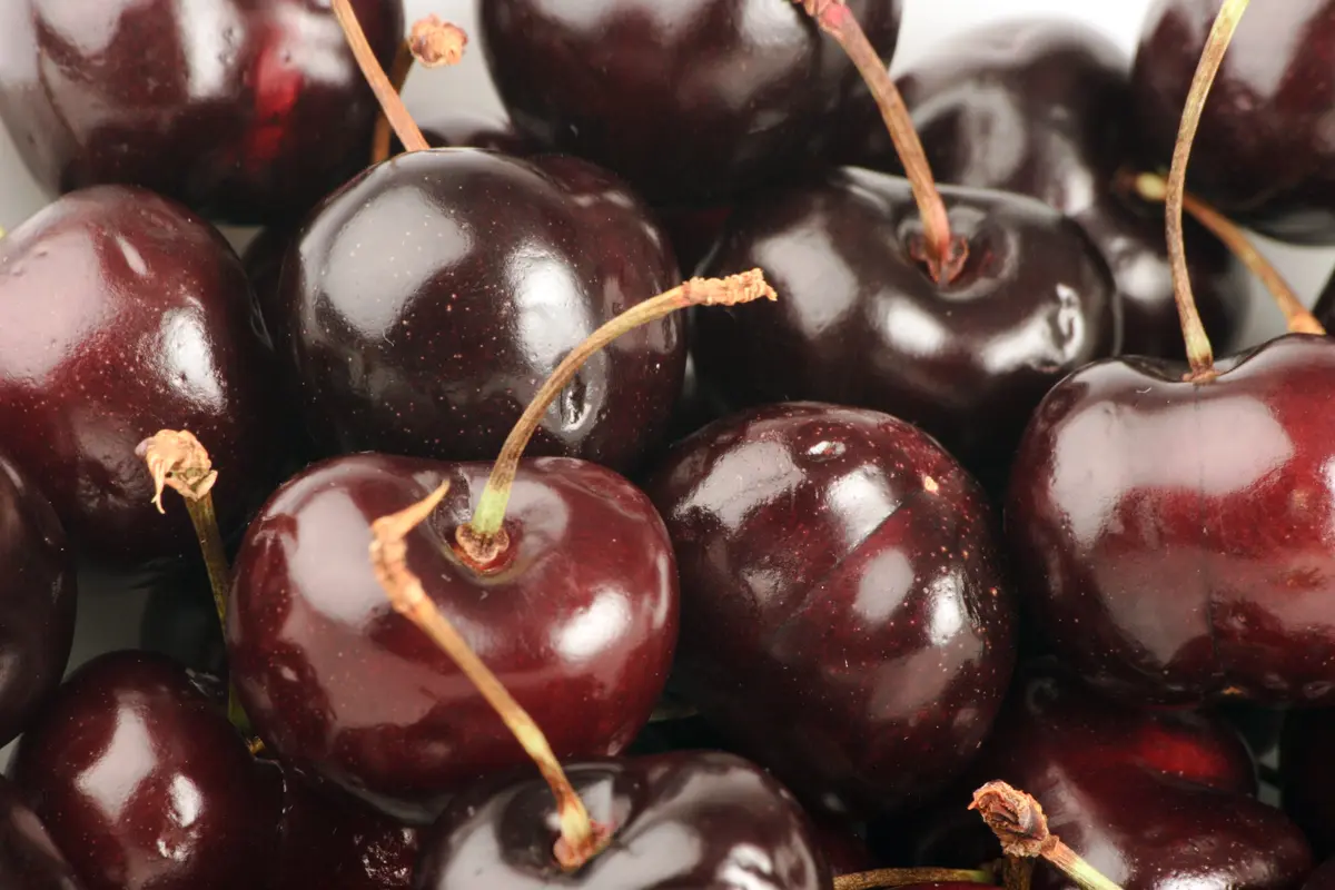 4-in-1 Combo Sweet Cherry Tree