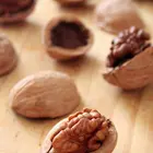 Hartley Walnut Tree