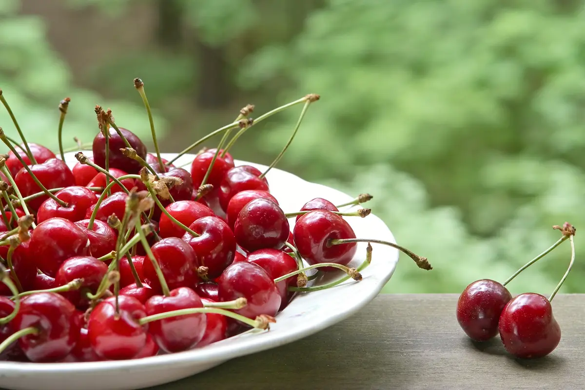 Brooks Cherry Tree