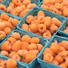 Anne Yellow Raspberry Plant