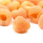 Anne Yellow Raspberry Plant